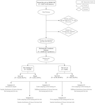 Compact machine learning model for the accurate prediction of first 24-hour survival of mechanically ventilated patients